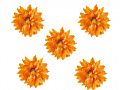 Y1BM50ADry Flower-L145