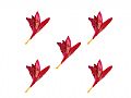 Y1BM51BDry Flower-L004