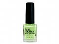 Y1MS307Misa Polish 307