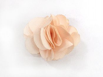 Y1NO016Magnet Flowers-Pink Champagne G