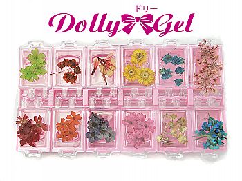 RL114Dolly Gel Mix Dried Flowers