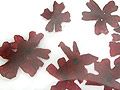 Y1BM30TDried Flower-red