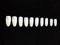 M-Y1NG93Round Tip Set-natural #0-#9/500pcs