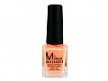 Y1MS309Misa Polish 309