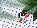 RB-Pantone Select III S/SDolly Gel Pantone color for spring & summer 5g
